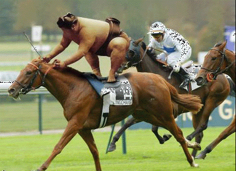 unique jockey