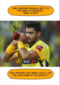 Sir Jadeja and the Ball-Plant