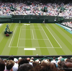 The latest at Wimbledon 2013