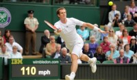 Andy Murray reacts to quarter-final victory at Wimbledon 2013