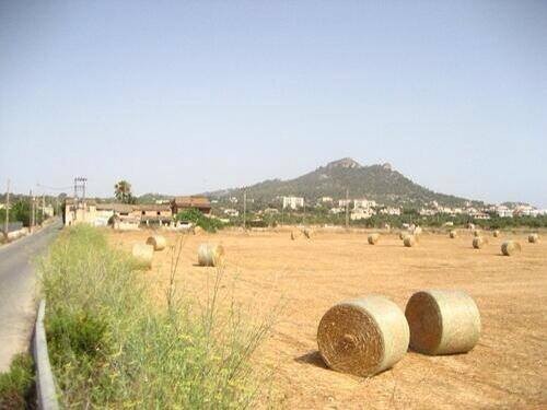 Bale Spotted in Madrid